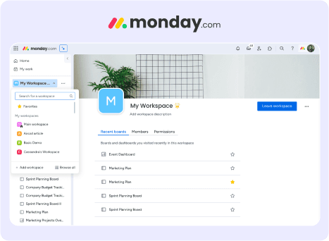 monday.com - Workspace Customization