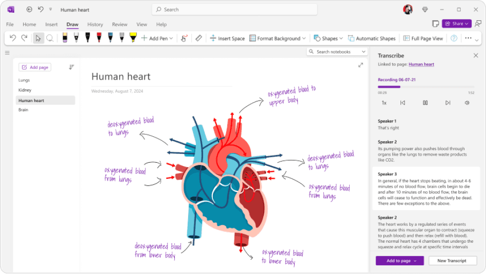 Microsoft Onenote