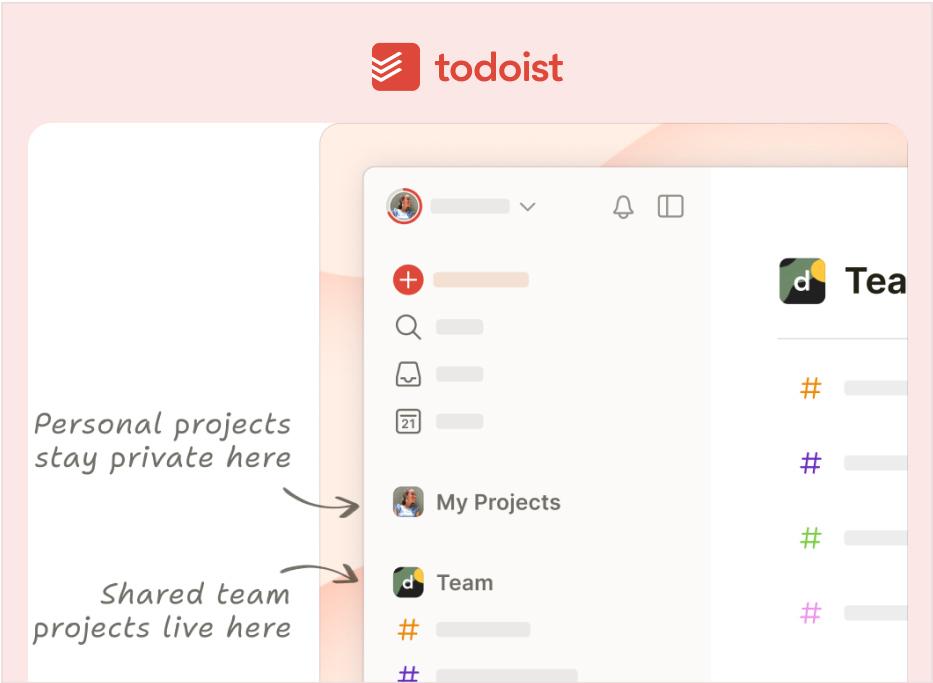 todoist-collaboration-and-team-management