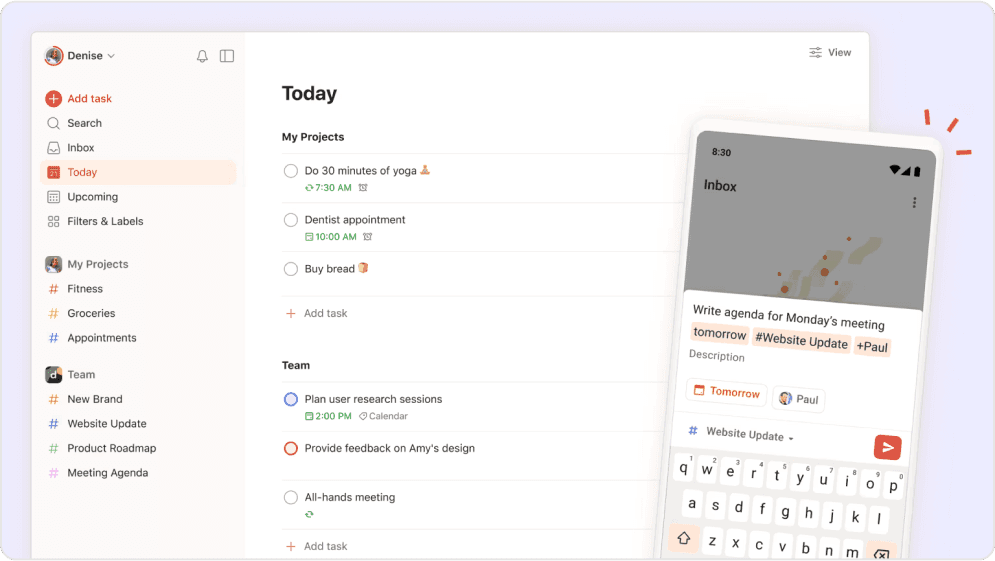 Todoist project management tools